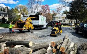 Best Lawn Pest Prevention  in Midfield, AL